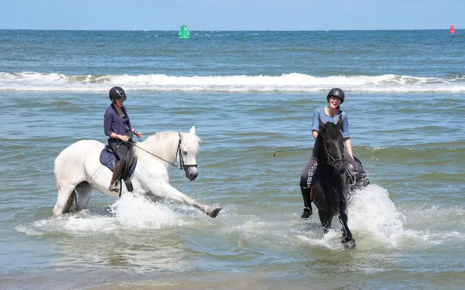 Voor Anne-May (29) was manege De Seeruyter op Vlieland een tweede thuis. ‘Het was een fantastische jeugd’
