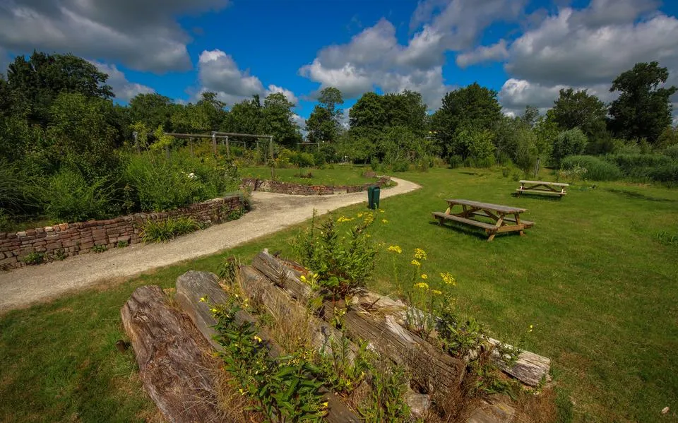 ‘Blije mensen’ op de eerste dag dat de natuurontmoetingstuin in Sneek toch weer openging