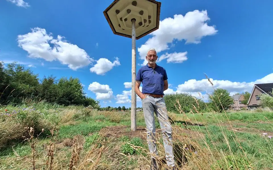 Zwaluwtil in Buitenpost: ‘Hopelijk broeden ze er volgend jaar in’
