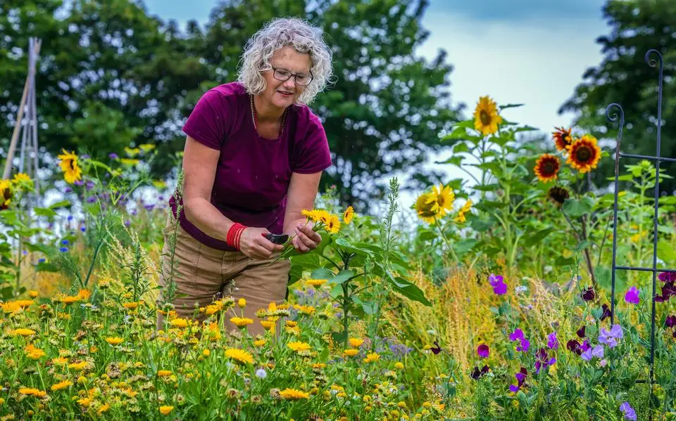 Eieren van eigen kippen, groenten uit eigen tuin: leeft Freya uit Lytshuzen in een met PFAS besmet paradijs?