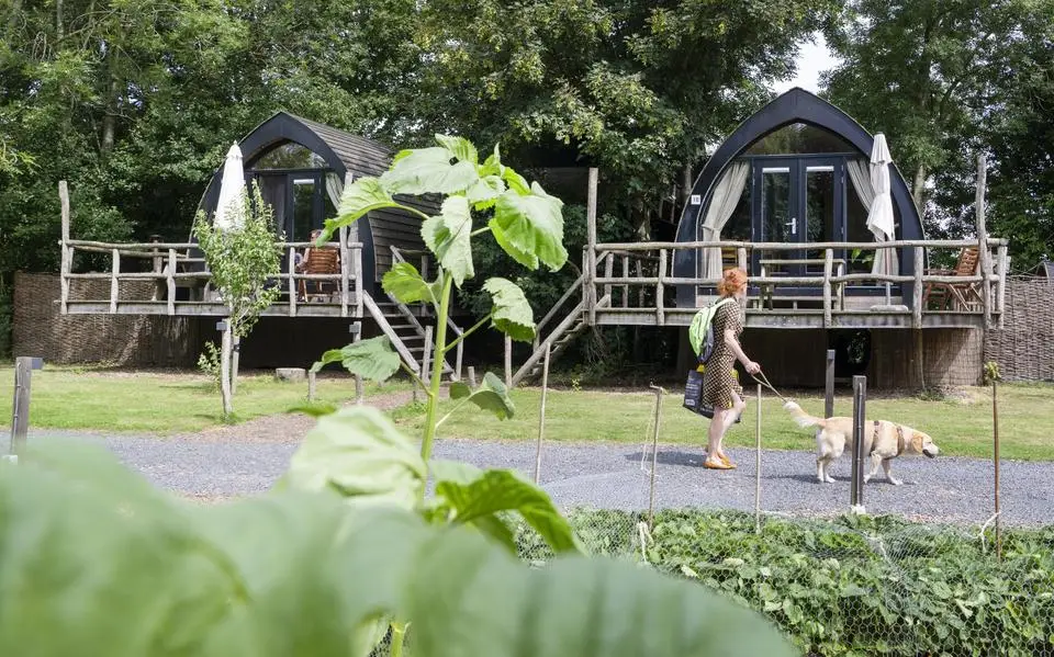 Vakantiekosten stijgen, dit is het prijsverschil in Friesland