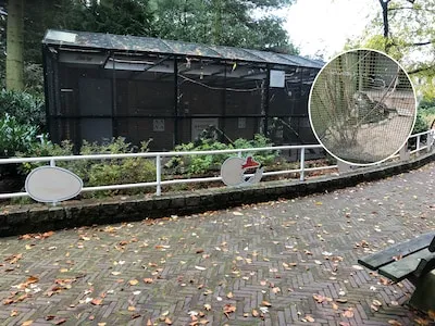 Volière in het Stadswandelpark bestolen van bijna de helft van de vogels