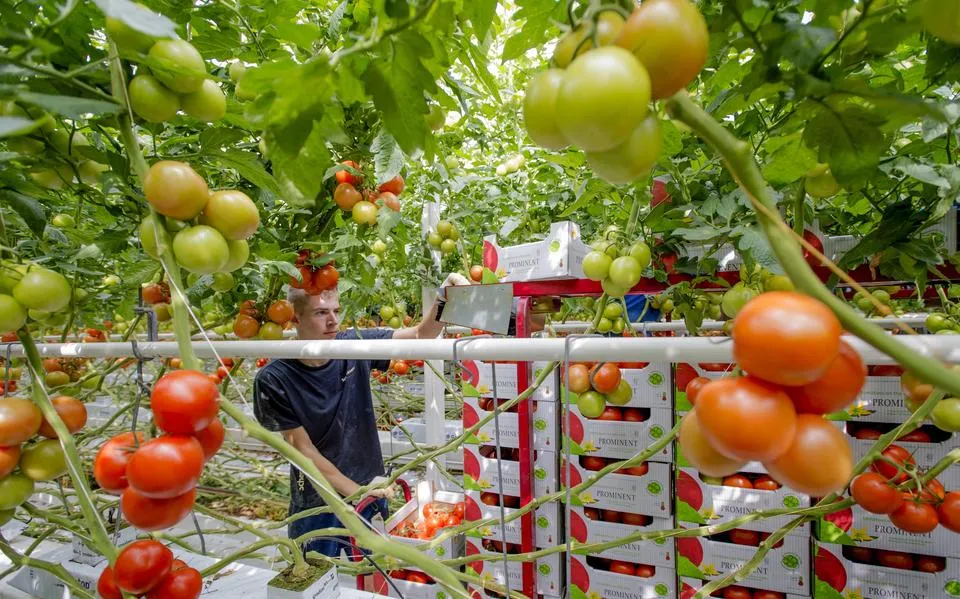 Begin je aan je (eerste) vakantiebaan? Dit is wat je moet weten