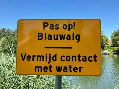 Blauwalg ontdekt in Helmondse parken