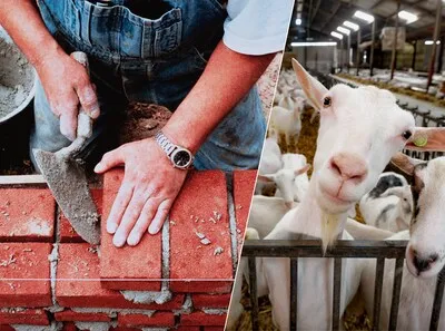 Brabant is bezorgd over bouw van duizenden woningen rond geitenhouderijen: ‘Denk aan gezondheid’