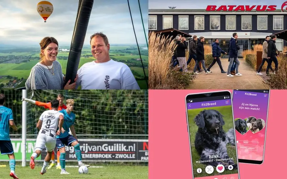 ‘Tinder’ voor Friese stabijs zorgt ervoor dat er geen zieke puppy’s meer worden geboren &amp; Maas Willemsen is op een missie bij SC Heerenveen | nieuws uit Friesland van 18 juli