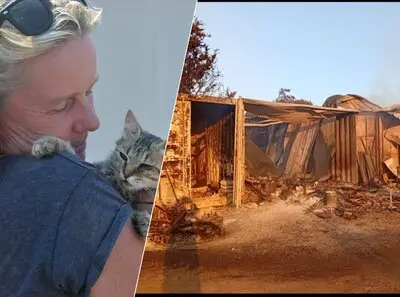 Dierenopvang van Geldropse Irene verwoest door bosbrand in Griekenland: ‘Ik had 25 katten, nu zie ik er nog zes’