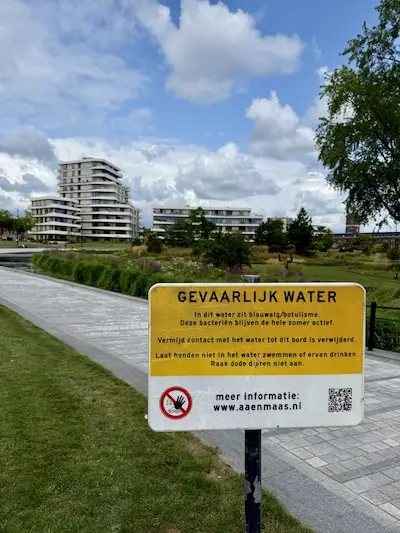 Blauwalg in Helmondse parken