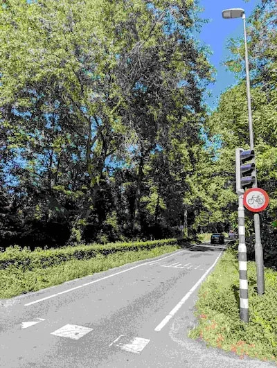 Gentiaanlaan in Son en Breugel afgesloten voor boomonderhoud