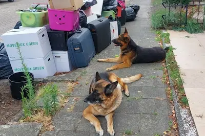 Isaac woont al 20 jaar in de straat, nu moet hij na burenruzie zijn huis uit