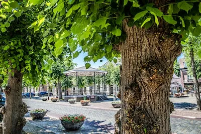 Middelste rij bomen op Eerselse Markt blijft behouden, aanleg loopstrook start in oktober