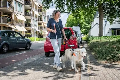 Ilse (50) uit Best ervaart meer vrijheid dankzij Tisha: ‘Het is een grote stap, want mensen zien dan meteen dat je niet goed ziet’
