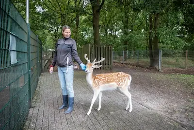 Rijpelberg geteisterd door hangjongeren: dreigementen, vernielingen en dierenleed