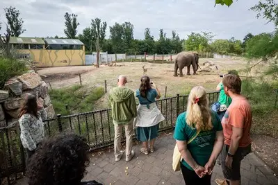 Bezoekers ervaren Eindhoven Zoo in stilte na sluitingstijd: dieren gedragen zich dan net wat anders