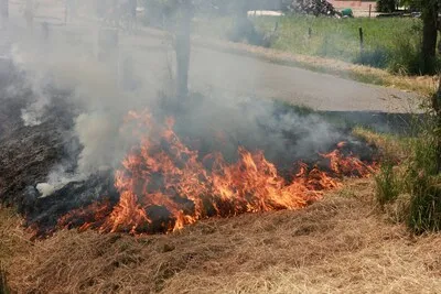 N11 in beide richtingen dicht vanwege brand in berm, automobilisten staan vast
