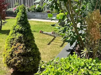 Man valt tijdens werk in zijn tuin van ladder in Waalre en raakt zwaarge­wond aan zijn hoofd