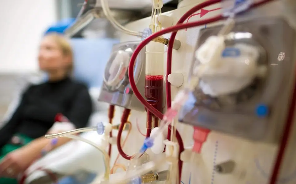 Tv-maker wil jongere die actief op zoek is naar een donornier, een jaar lang volgen