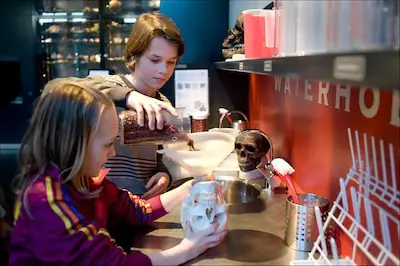 Van paddenstoelendiorama’s tot science snacks: 90 jaar Natuurmuseum Brabant