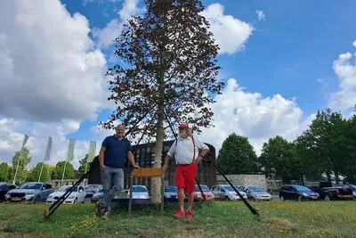 Dankzij een juten jasje kan de jubileumboom van Fons Linders in Nuenen opgroeien om héél oud te worden