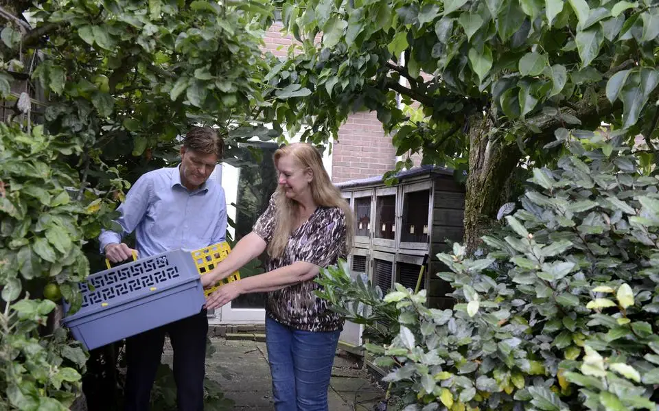 Wat maak je allemaal mee bij de vogelopvang? Ik dacht: die is al dood’