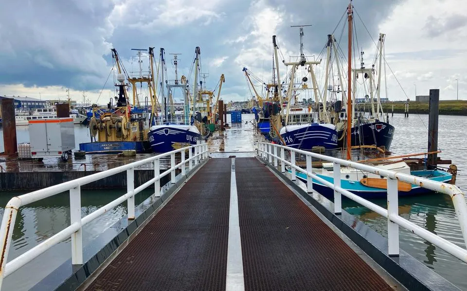 Visserij boekt eindelijk weer winst, maar op het Wad kwakkelt de mosselkweker