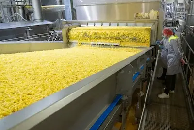 50 meter hoog, 40.000 pallets en ijskoud: in dit Tilburgse gebouw wordt friet gemaakt voor de hele wereld