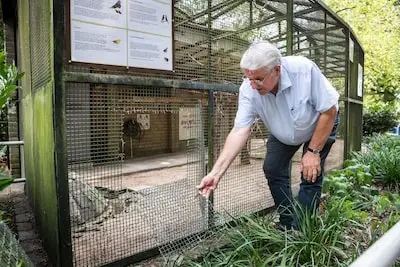 Wéér tientallen vogels gestolen in Eindhovens park, vrijwilliger Henk is van slag: ‘De dieven doen veel mensen verdriet’