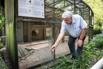 Drie inbraken op rij bij volière Stadswandelpark; ‘die jonge vogels overleven niet zonder hun ouders’