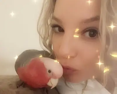 Kaketoe Bonnie ontsnapt in Helmond: ‘Ik heb haar vanaf baby grootgebracht, ik mis haar zo erg'