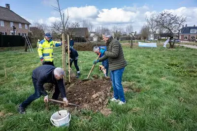 Tilburg en Loon op Zand organiseren geboorteboomdag