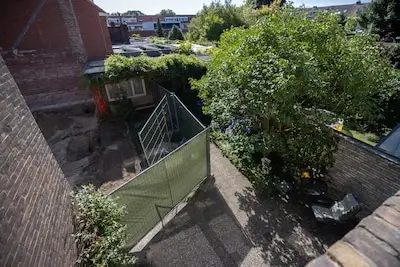 Sloopmachine vernielt tuin van Tiny (82): ‘Toen ik opkeek, was de klimop weg, de hortensia vijf seconden later ook’