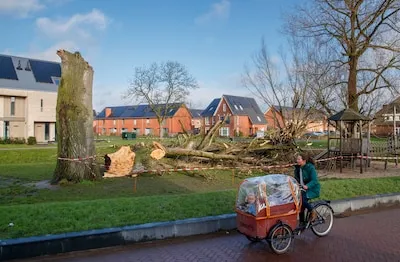 Schade door extreem weer in Eindhoven naar laagste niveau sinds 2021