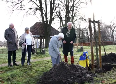 Son en Breugel stopt met bomen planten voor 100-jarigen: ‘Er is nergens meer een geschikte locatie’