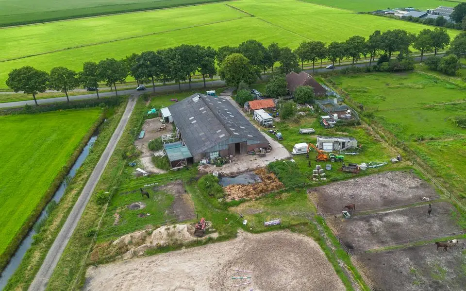 72 verwaarloosde honden aangetroffen bij fokker in Oosterwolde: woonboerderij gesloten