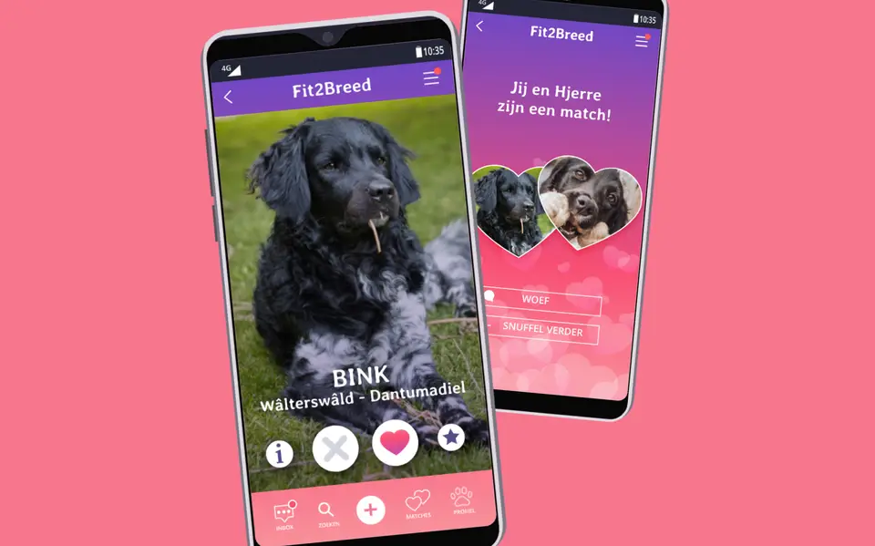 ‘Tinder’ voor Friese stabijs zorgt ervoor dat er geen zieke puppy’s meer worden geboren