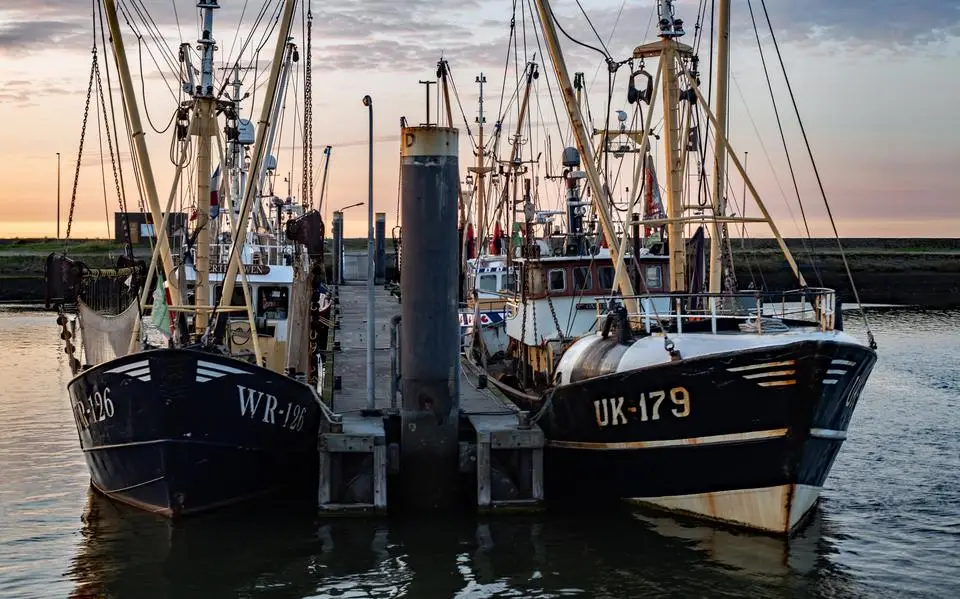 Vissers trekken rapport over slechte staat van Waddenzee in twijfel. ‘Er moet ruimte zijn voor ieders werkelijkheid’