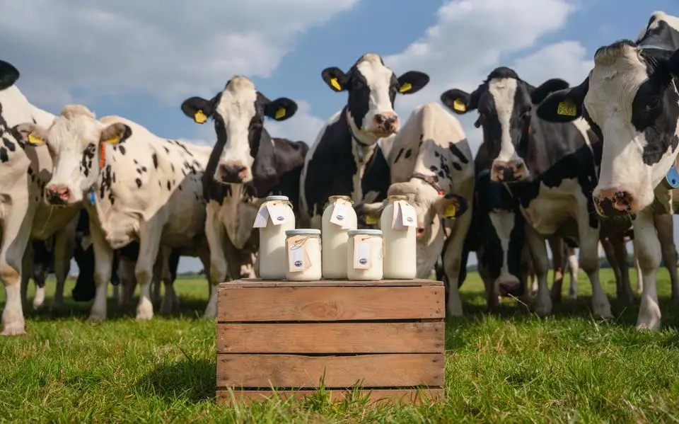 Wat is er deze week te doen in Friesland? Vijf tips