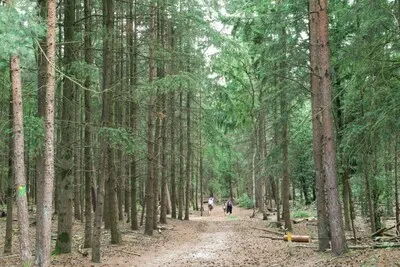 Van bloemenkunst tot fietsen: 5 x uittips in Helmond [14 - 17 juli]