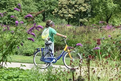 Van fietsroutes tot huurfietsen in Eindhoven: dit moet je weten