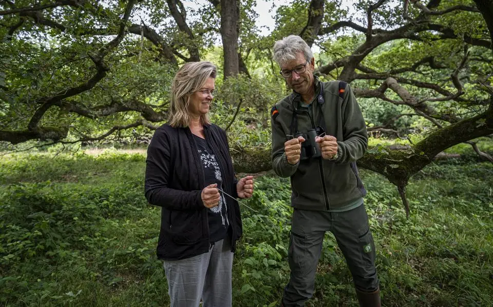 Strubben Kniphorstbosch? Niet zomaar een bos! Al het Drentse is er, met een zweem van mystiek