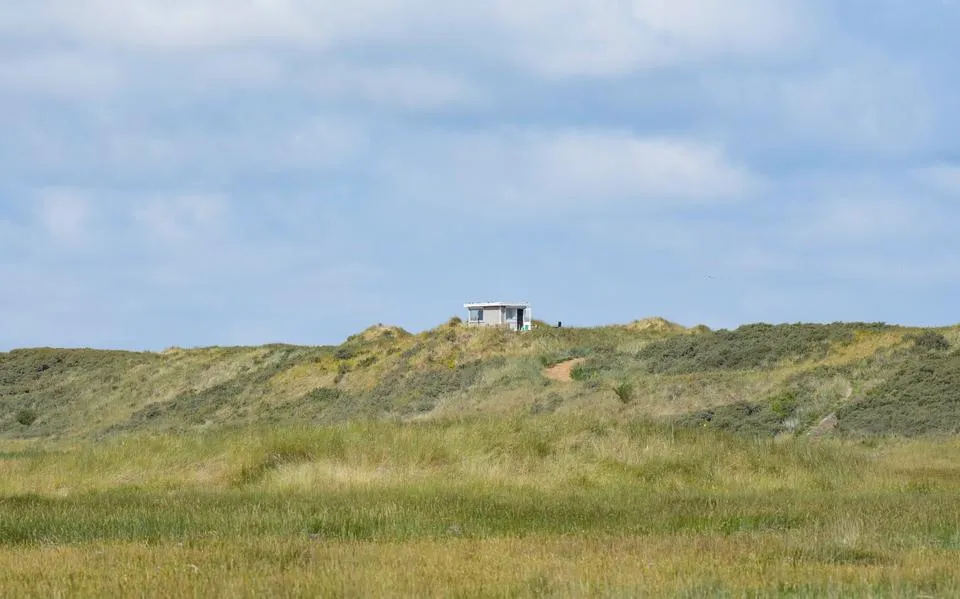 Drie dagen lang is Gemma vogelwachter op de Boschplaat op Terschelling: ‘Mijn eigen stukje eiland’