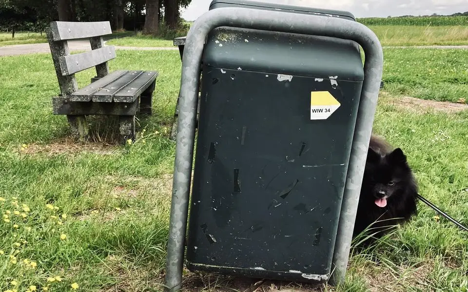 Westerwolde is een wandelparadijs. ‘Niet te veel reclame maken, het is hier nog zo heerlijk rustig’