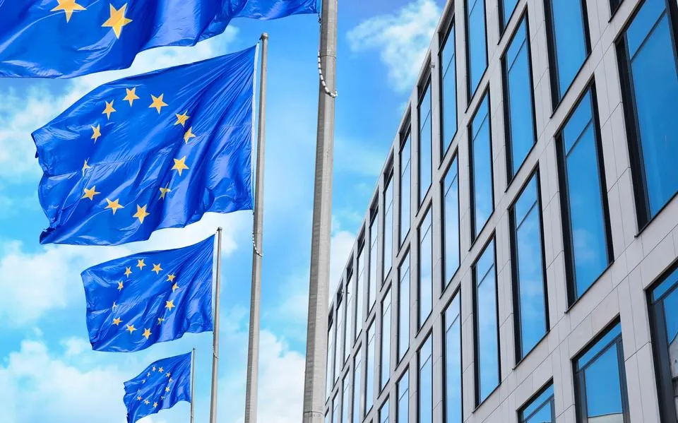 Maak Europa volop een thema in de campagne voor de Tweede Kamerverkiezingen, stelt het EU-olifantcollectief | opinie
