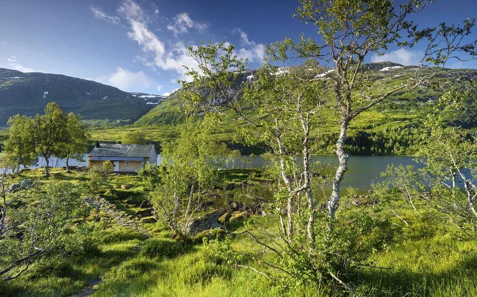 Deze Nederlanders emigreerden naar koel Scandinavië: ’Hier snap ik pas wat echte natuur is’