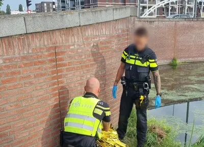 Vrouw (81) net op tijd uit het kanaal in Helmond gehaald door omstander