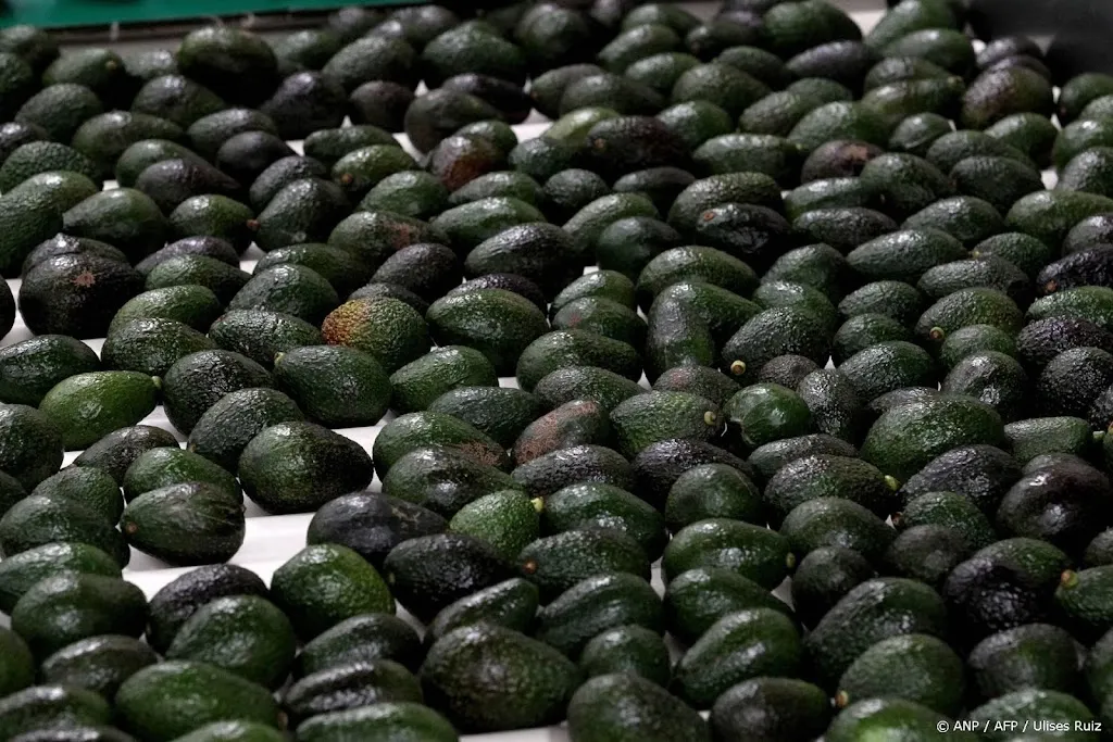 Salud roept avocadopulp terug na voedselvergiftiging Italië