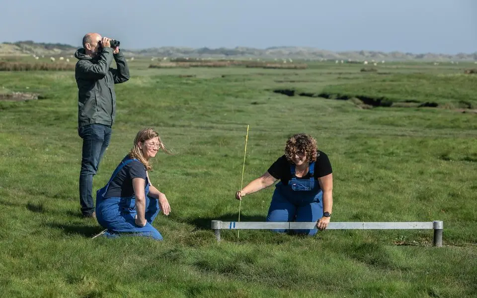 NAM legt gasboring onder Ameland per direct stil: onenigheid over snelheid bodemdaling