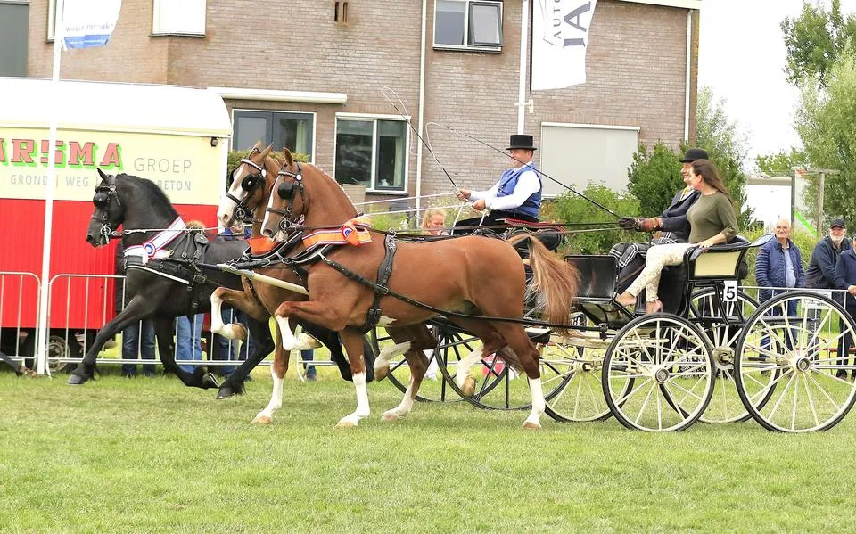 Bijzondere ereronde tijdens het Concours Hippique Blauwhuis: ‘Dit smaakt echt naar meer’