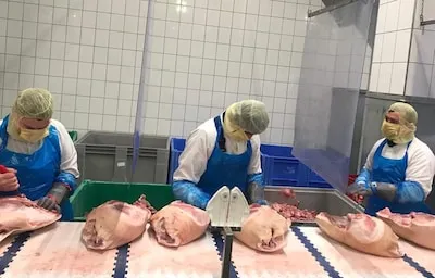Wie ontfermt zich over de arbeidsmigrant? ‘Mensen willen hun lapje vlees, maar geen Roemeen als buurman’