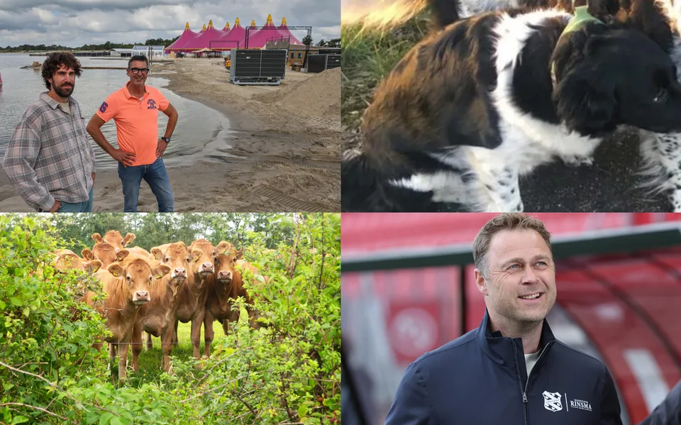 Moeder van Esther (12) uit Blauwhuis op vrije voeten &amp; beschuit met muisjes bij SC Heerenveen | nieuws uit Friesland van 22 augustus